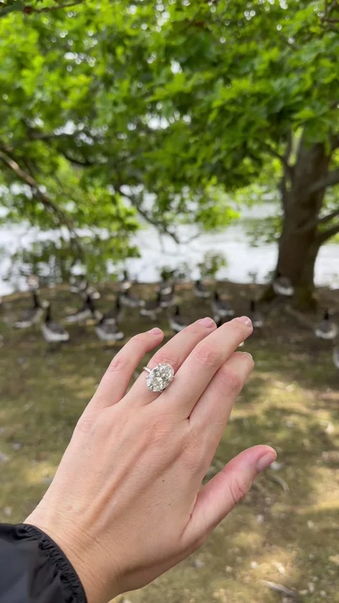 Vertical video of engagement ring with platinum band near green tree Stock Footage 317789849