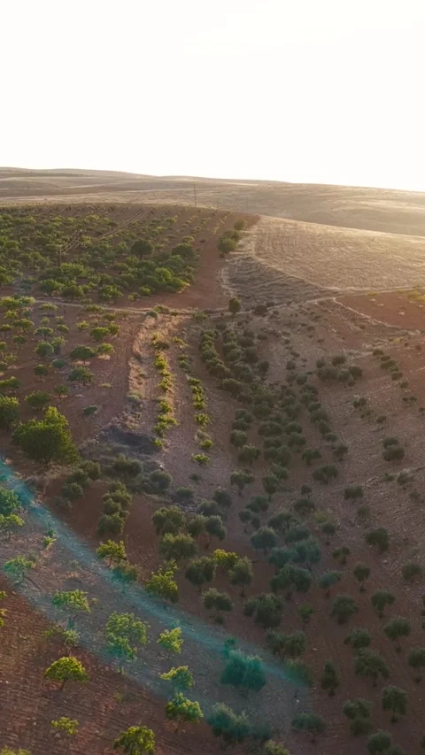 Vertical Video of Euphrates River in Evening Light 库存影片 342282512