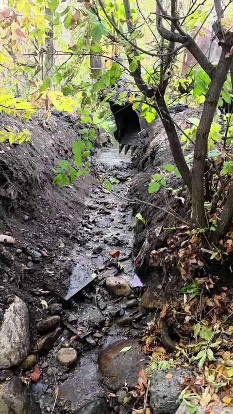 Vertical Video of an Excavator Digging a Ditch in an Autumn Forest Stock-Footage 348245256