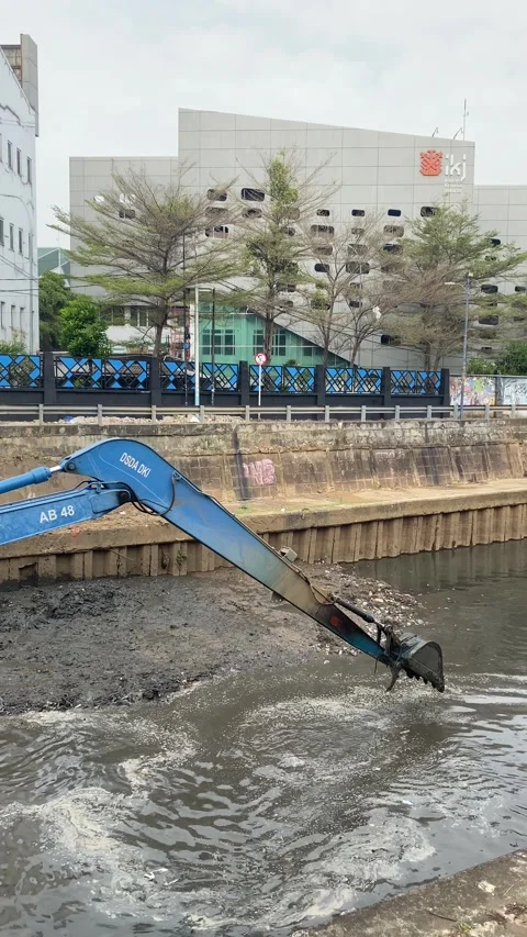 Vertical video of excavator Stock Footage 294543012