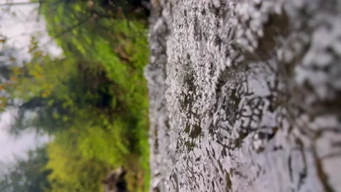 Vertical video Explore the Serenity of Flowing Water Amidst Lush Greenery: A Stock Footage 314464193