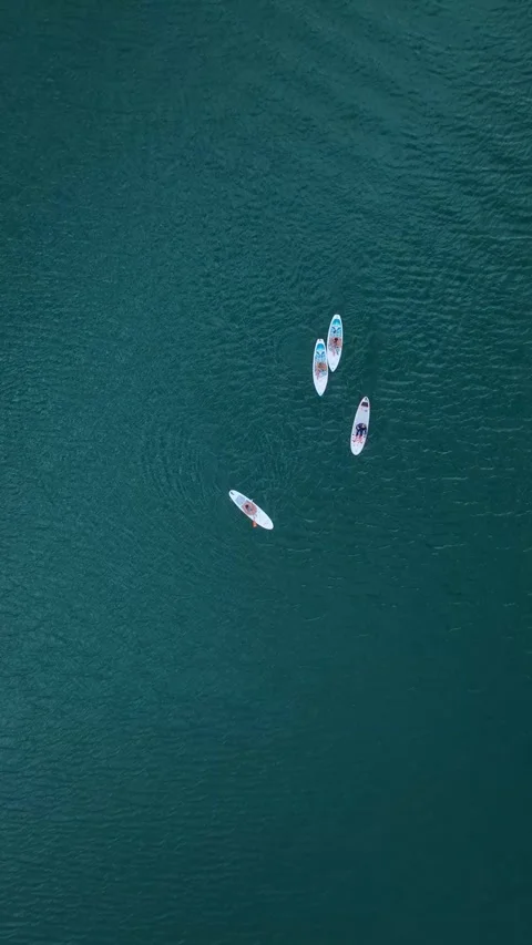 Vertical Video: Exploring a Green Canyon on Paddleboards with People Admiring Stock Footage 297776587