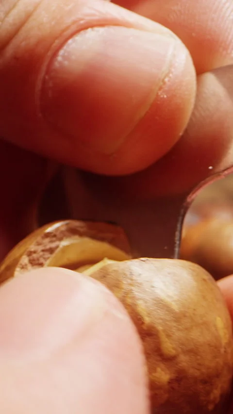 Vertical video. Extreme Close Up Dolly Slider Shot of Human Fingers Holding Maca Stock Footage 324559666