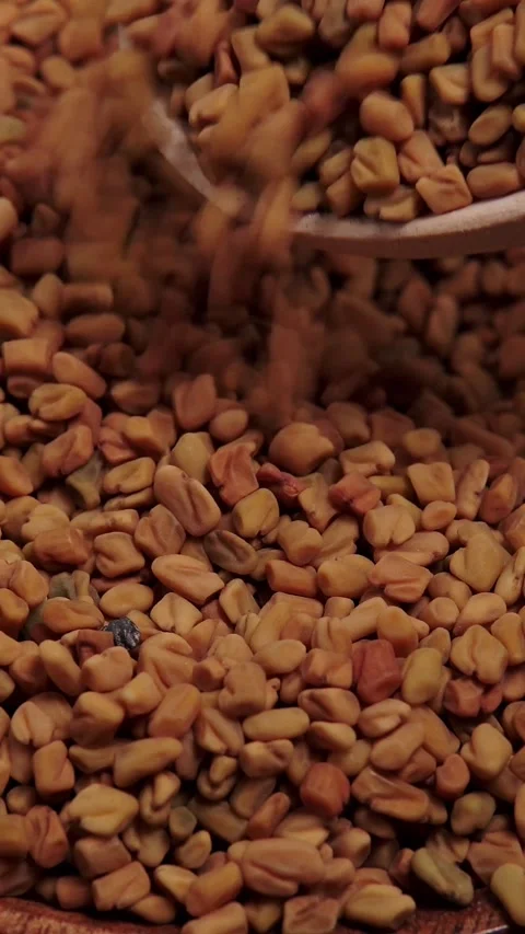 Vertical video extreme close up texture of raw brown fenugreek seeds Stock Footage 345972596