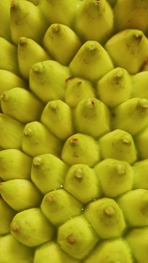 Vertical video. Extreme Macro Of Jackfruit Spikes Forming Radial Pattern, Rotati Stock Footage 334314166