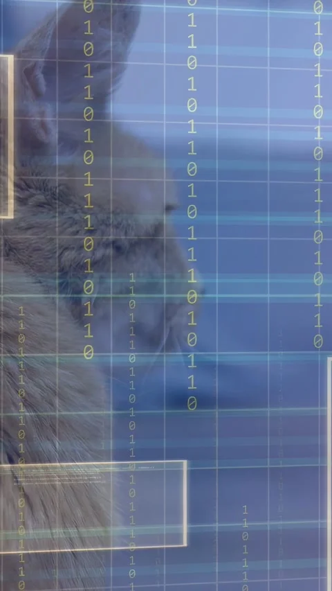 Vertical video: Faint grid appearing and growing, UI panels scanning orange Stock Footage 333157447
