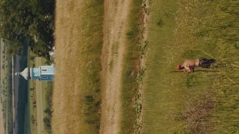 Vertical video a farmer in the field mows the grass on a hot day Stock Footage 246957638
