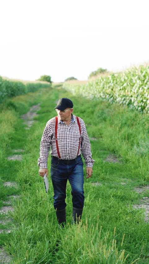 Vertical Video of Farmer man with digital tablet in hand walks along dirt road Stock Footage 304037070