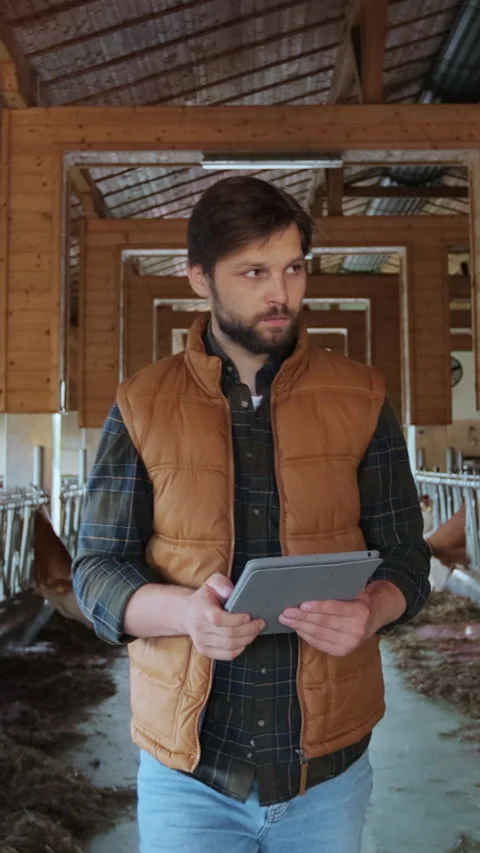 Vertical video. Farmer in orange vest using tablet computer in modern dairy farm Stock Footage 344629633