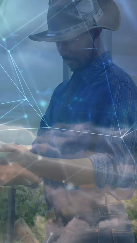 Vertical video: Farmer touching device and checking field data while blue Stock Footage 333464856