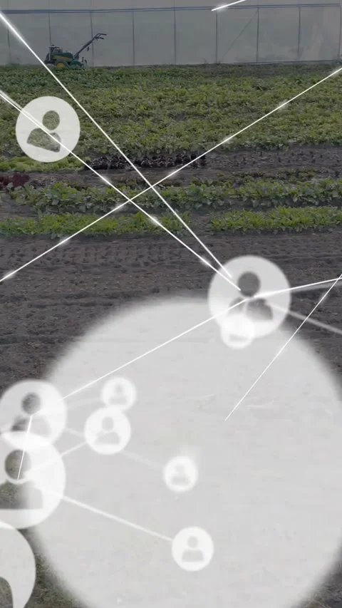 Vertical video: Farming user node network growing from sensor ping, monitoring Stock Footage 334543687