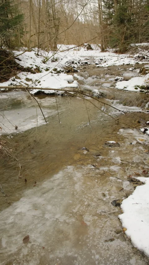 Vertical video of fast mountain river in snow winter forest Stock Footage 297963692