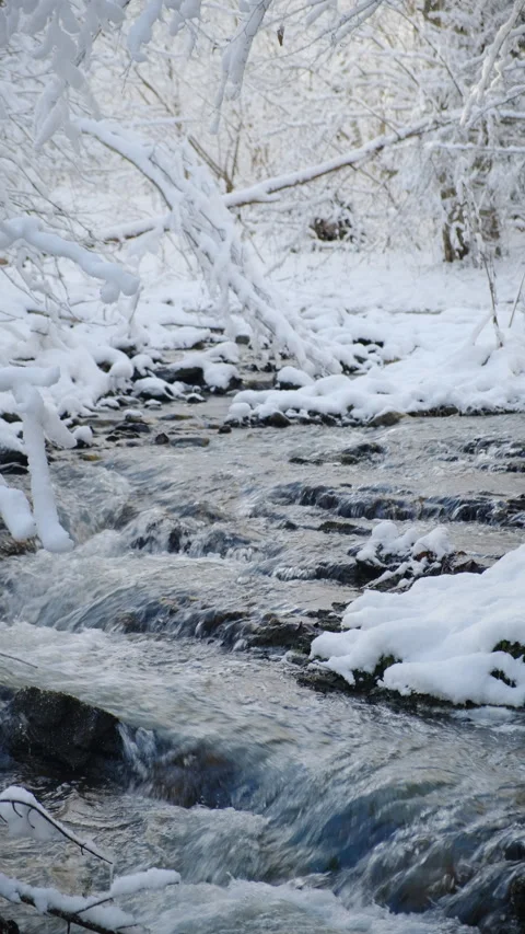 Vertical video of fast mountain river and amazing snow winter forest Stock Footage 300943773