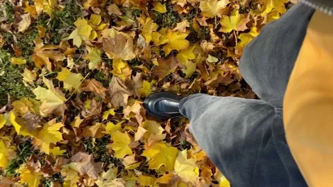 Vertical video. Feet in boots rustle in autumn with fallen yellow leaves in the Stock Footage 218616424