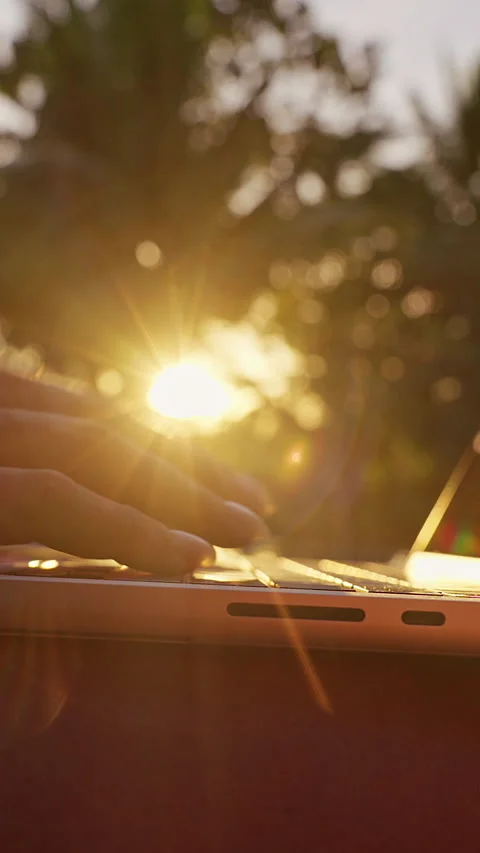 Vertical video. Female Hands Working on Laptop With Warm Sunlight Reflection Dur Stock Footage 336698994