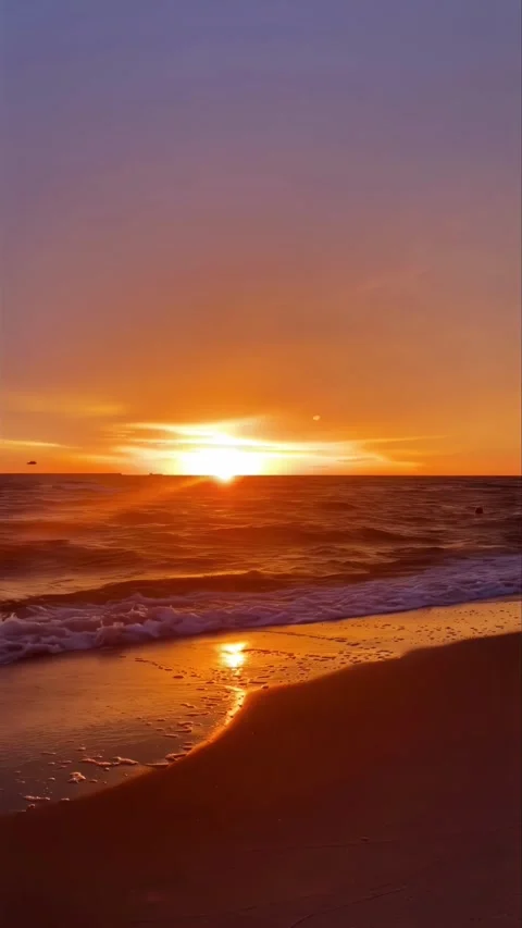 Vertical video Fiery Red Sunset Over the Tranquil Seashore Stock Footage 308808261