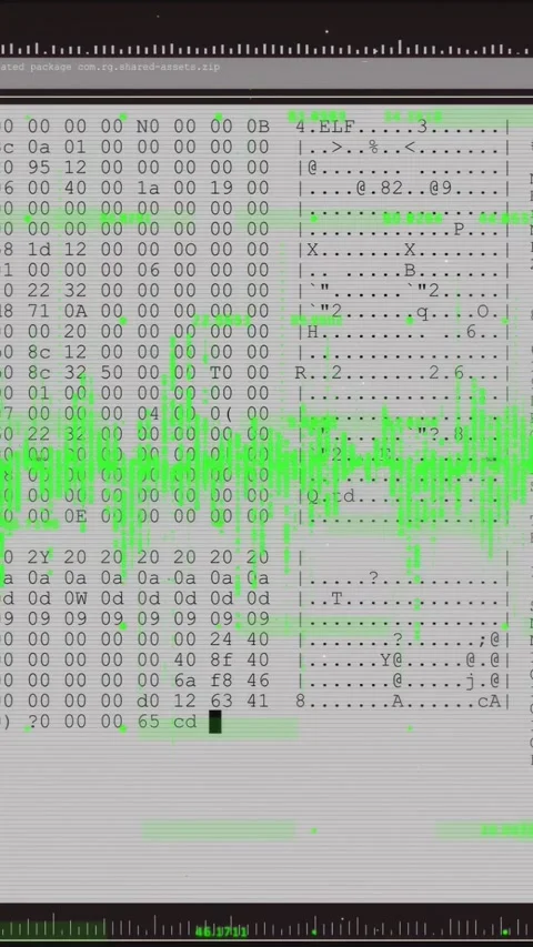 Vertical video: On file load hex view shifting to dump, green wave pulsing, logs Stock Footage 333542175