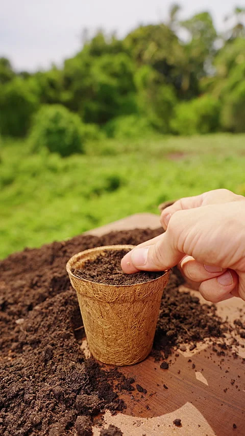 Vertical video. Finger Plants a Tiny Seed in Soil Inside a Coconut Fiber Pot Out Stock Footage 340252796
