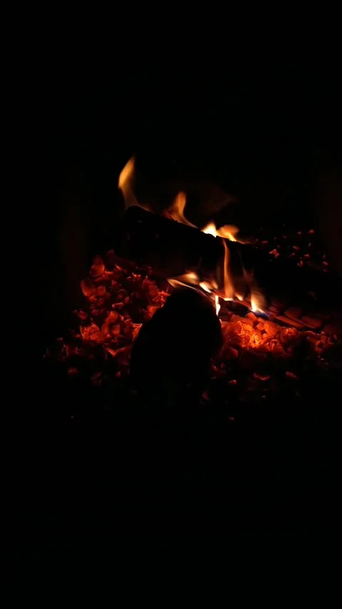 Vertical video. Fire in the fireplace with a cold night. Stock Footage 201813518