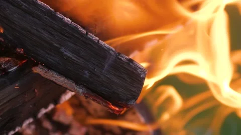 Vertical video. Firewood is burning in the brazier. Blurred background of green Video stock 220104823