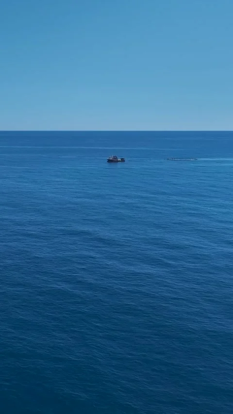 Vertical Video: Fish Farm Seen From Above With Circular Pens Floating On A Stock Footage 297675662