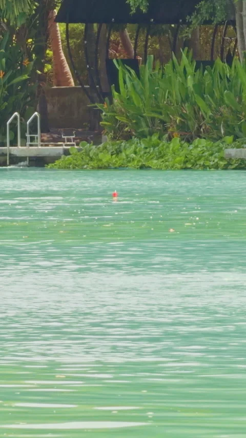 Vertical video. Fishing Float Drifting On Calm Green Lake Surface With Gentle Ri Stock Footage 333312411