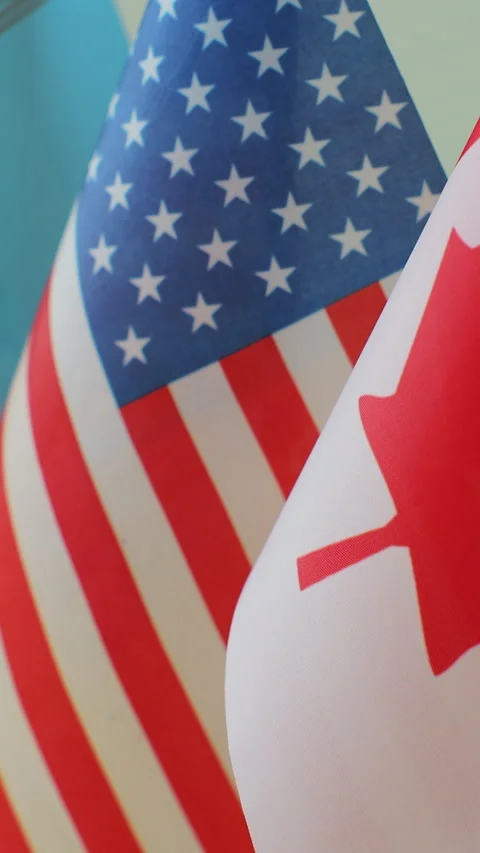 Vertical video. Flags of Various Countries on Table. Stock-Footage 343762281