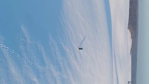 Vertical video. Flight over a man walking on a snowy field covered with traces Video stock 220133137