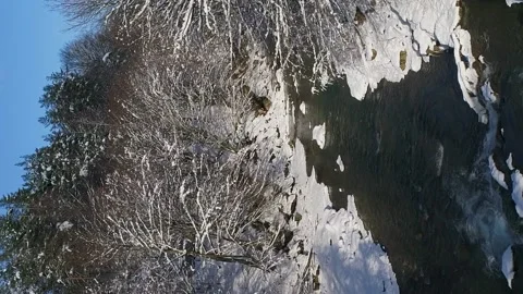 Vertical video. Flight over a mountain river. The trees are covered with snow on Stock-Footage 229548511
