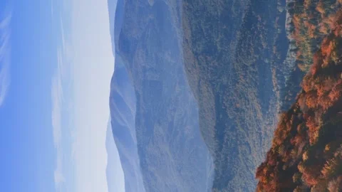 Vertical video. Flight over mountains with autumn forests. Aerial view. Video stock 255203308