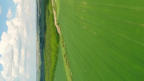 Vertical video. Flight over spring green fields with wheat. Stock-Footage 267284109
