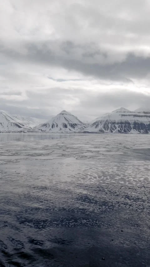 Vertical Video of Floating Sea Ice in Arctic Fjord, Svalbard Stock Footage 340036447