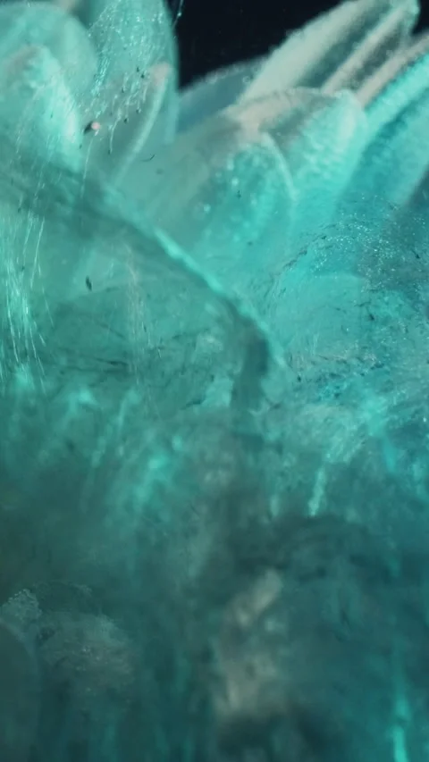 Vertical video flower paint water ink drop cyan Stock Footage 231053155