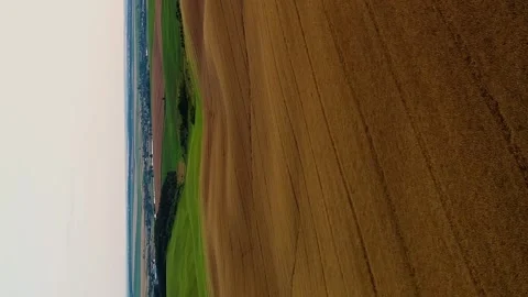 Vertical video. Flying over an evening summer field with ripe rapeseed. Video stock 261214254