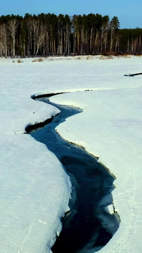 Vertical video. Flying in winter over a swamp covered with forest. A winding Vidéo 339157666