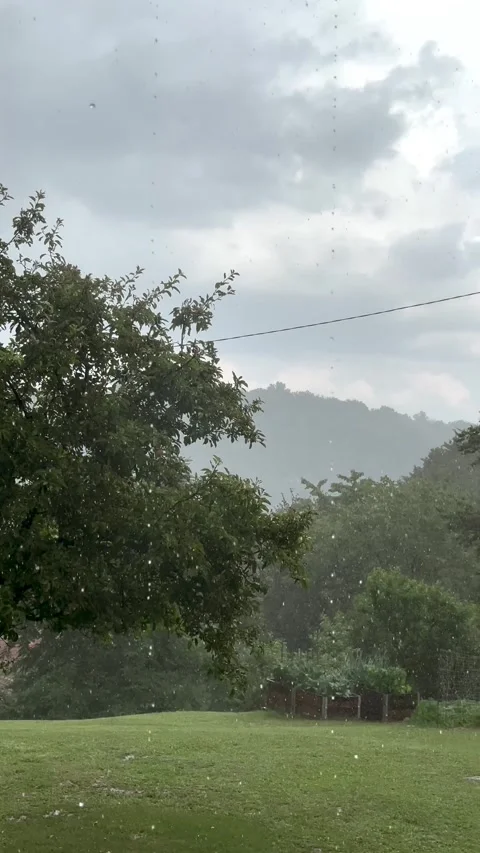 Vertical Video of Fog Covering Trees and Rural Hillside Vidéo 345161502