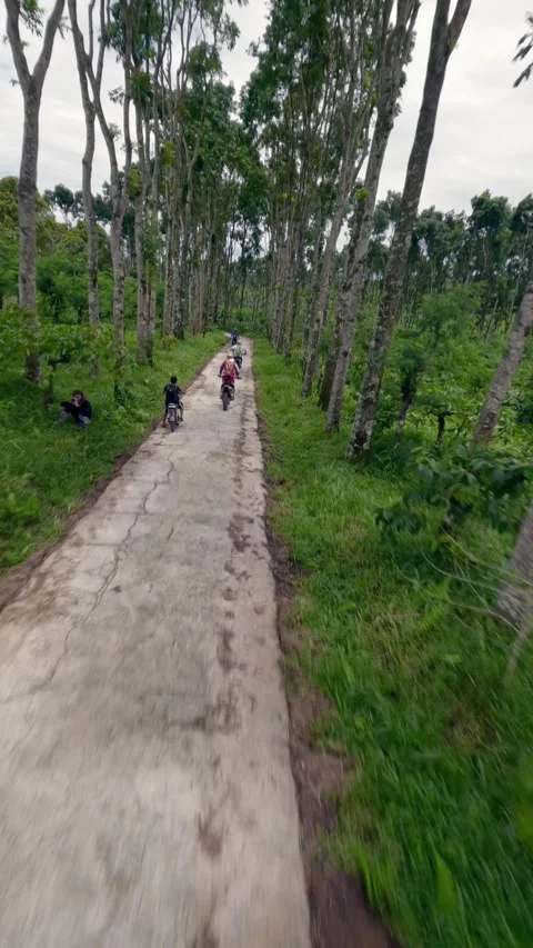 Vertical video. Follow view group enduro motorbike riders speed race motocross Stock Footage 246541412