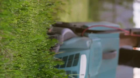 Vertical video footage of a guy mows green grass with a lawnmower Stock Footage 265876253