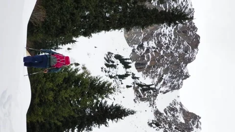 Vertical video footage of a man with a backpack makes a winter hike Stock Footage 262522488
