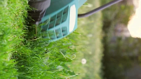 Vertical video footage of the process of cutting green grass with a lawnmower Stock Footage 265876392