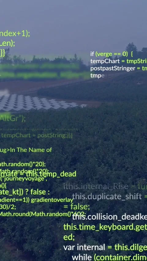 Vertical video: Forested hillside receiving green and white code lines from Stock Footage 334319054