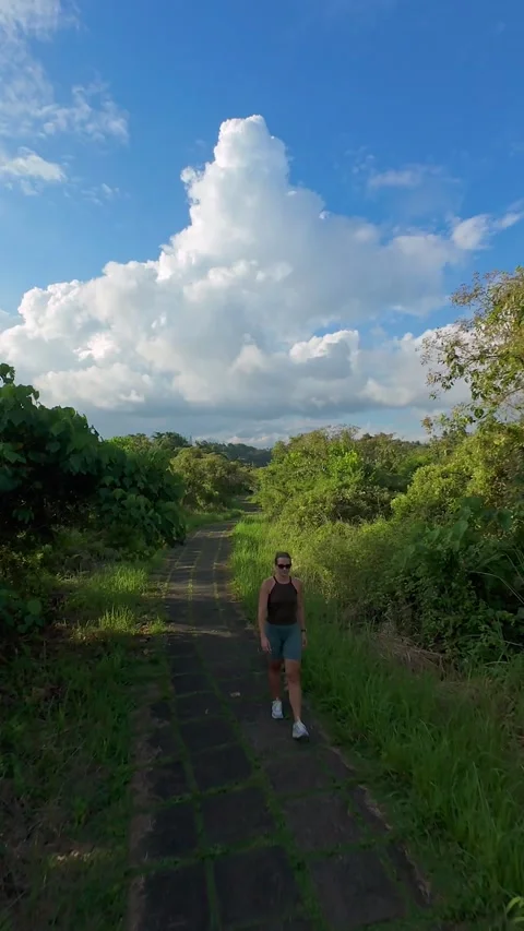 Vertical video. FPV Drone Chasing Walker Along Campuhan Ridge Walk Through Lush Stock Footage 336644126