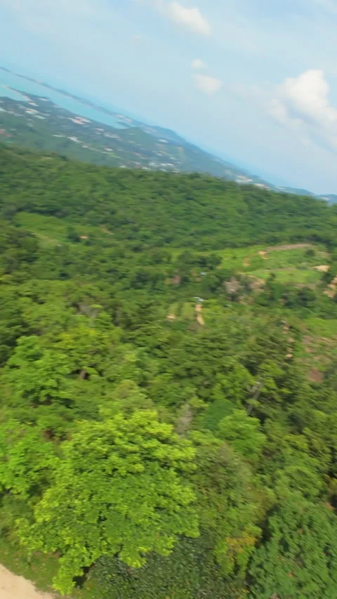 Vertical FPV Drone Rapidly Dives Stock Video Pond5