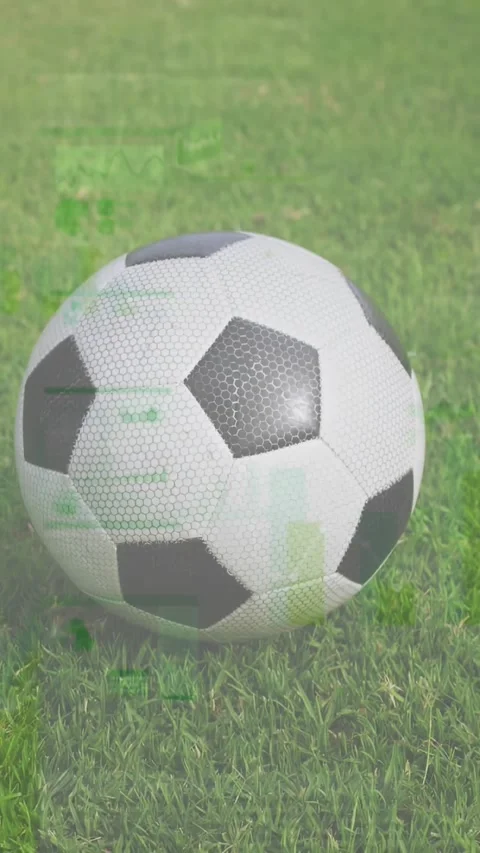Vertical video: Frames advancing, soccer ball rolling on lawn, showing mint Stock Footage 330794870