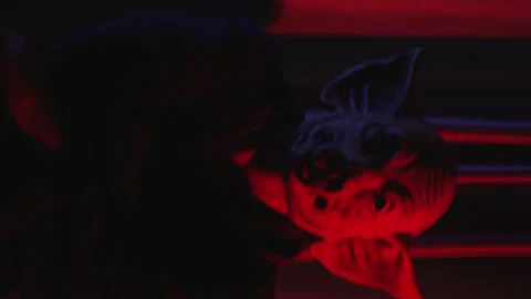 Vertical video of freak man with pig mask in red room Stock Footage 218377397