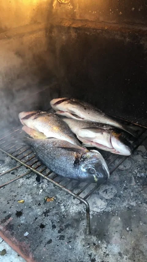 Vertical video of fresh fish grilling on barbecue in Dubrovnik Croatia Stock Footage 315655912