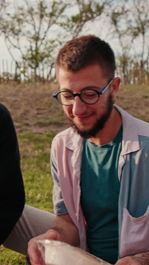 Vertical video, Friends Sharing Laughter and Food at a Picnic Stock Footage 313812966