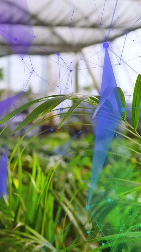Vertical video: Fronds centering front camera rising and overlay nodes drifting 库存影片 333603740