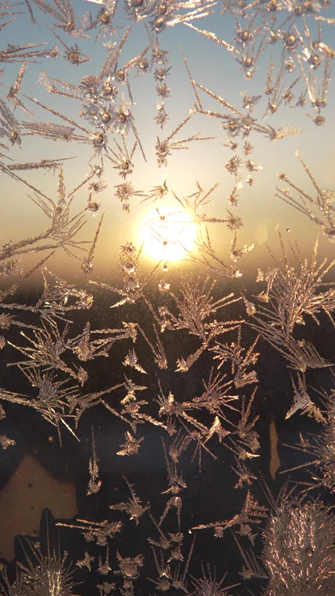 Vertical video of frost patterns on window with sunrise in background close up. Stock Footage 293553363