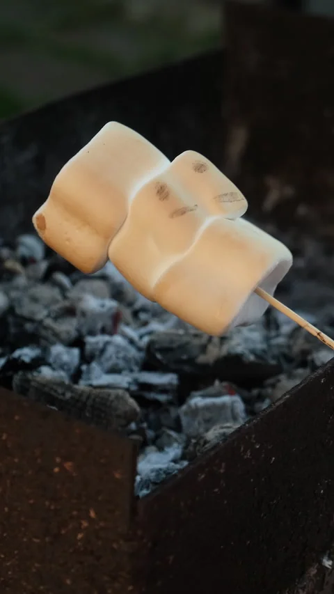 Vertical video. Frying marshmallows on a stick over burning coals in a campfi Stock Footage 340333723